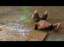 steve-o jackass best funny stunt DOCTOOOOOOOR steve-o jackass best funny stunt DOCTOOOOOOOR