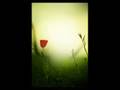 Neffa - Passione