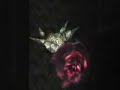 2 parts. the final bosses to ninja gaiden: dragon sword for the ds