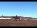 Ouvrir le cheval pour monter à crue