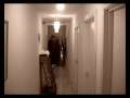pimpwolf reversal