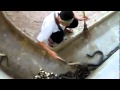 Jawatan Kosong.mp4