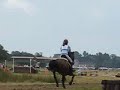 Lamotte Poneys 2007 Cross