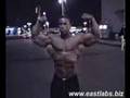 kevin-levrone