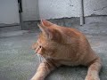 test08