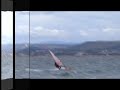 videos voile