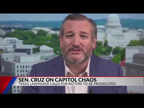 Ted Cruz speaks out on Democrats calling for his resignation after Capitol riots: 'I just have to ch