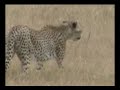 Travel Tanzania N\