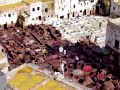 Tannery in Medina, Fez, Morocco