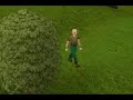 How Runescape Will End