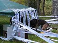 Tulikuuma Piina 19 months old biatlon-race
