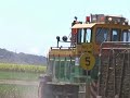 Cane Train Cane Train