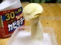 カビキラーでキノコは、消滅するか実験 Mushroom and Mold Removal!?!? PDS