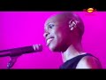 Skunk anansie: Cheap honesty