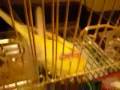 videos de 081228_2018~0001.m4v