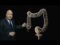 Colonoscopy. Colon Cancer Screening.
