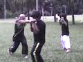 Kick Boxing Brazilian Martial Arts