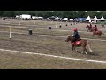 pony games lamotte 2008 ptits diables 2bouteilles 1/2finale