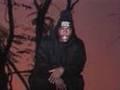 Naughty by Nature Everything's Gonna Be Alright