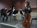 cuarteto en la orquesta joven de andaluc�a.
violin 1�: enrique
violin 2�: �ngela
viola: carmen
cello: susana