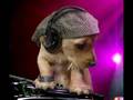 Dj KaNTiK Club Love Bubbling   izmir tiktak remix download