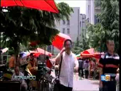 Guarda il video