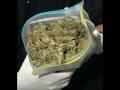 borygo reggae ganja bit