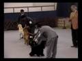 videos de Grupo 8 Filipini KCP Julio 2,008