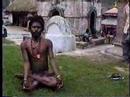 Nepal Yogi