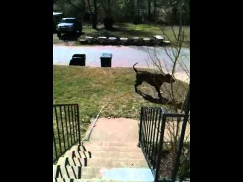 IMG 0149