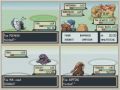 Let-s-race-pokemon-L