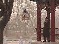 Oiseaux chanteurs Jardin du Peuple Tianjin MVI_8193