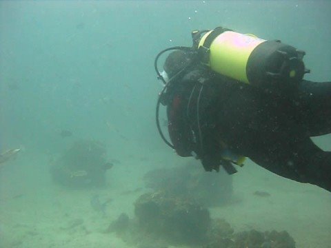 my first underwater video: Fahal Island