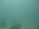 my first underwater video: Fahal Island