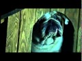 Zeus Bulldogs comercial Wawanesa