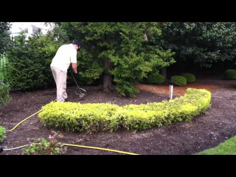 how to fertilize shrubs in fall