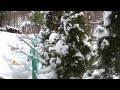 Blizzard of '09