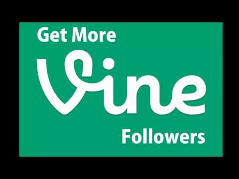 how to get quick followers on vine