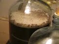Beer Making, Part 1: The Mash