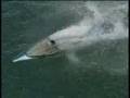 The Dolphin formerly known as Bionic