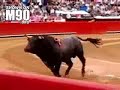 Bullfighting in your face! Bullfighting in your face!
