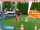 Beer Bong Obstacle Course in Interlaken