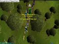Runescape Jagex mod pwning bots at flax feilds! Runescape Jagex mod pwning bots at flax feilds!