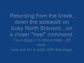 Walking the Dogs...Four German Shepherd Dogs Off Leash