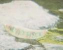 U.S.O. Unidentified Submerged Objects: Kappa