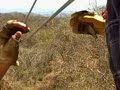 Zip Line Cabo San Lucas