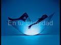 Las 6 Dietas famosas