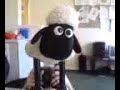 PJM 79 Shaun the Sheep PJM 79 Shaun the Sheep