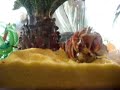 mr. crab trying out his new home, you'll have
to see his reactions. if you watch carefully, you
can see him playing the cure.