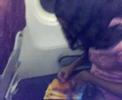 K-lyinn Tanzanian Singer in Plane DAR - DOHA K-lyinn Tanzanian Singer in Plane DAR - DOHA